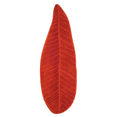 ＦＥＵＩＬＬＥ（フィーユ）　マット